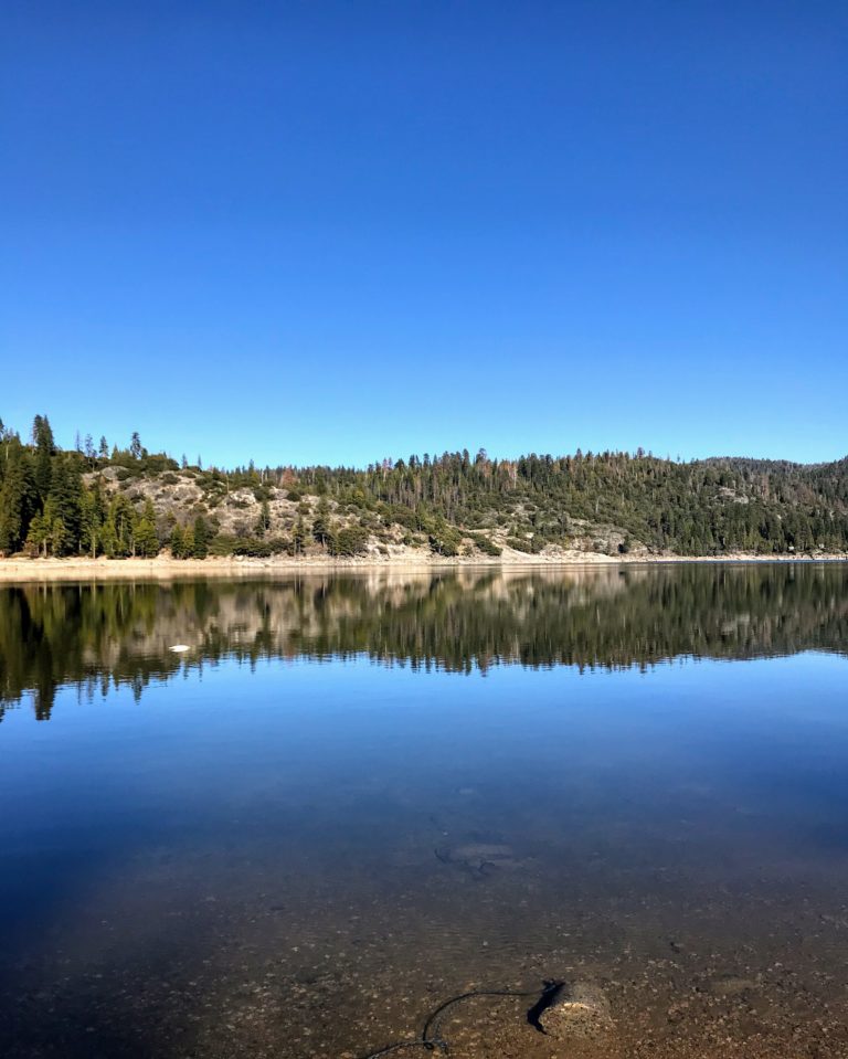 Things To Do In Stanislaus National Forest With Kids 