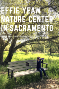 Guide to the Effie Yeaw Nature Center in Sacramento | Things to Do in Sacramento with Kids | Henry and Andrew’s Guide (www.henryandandrewsguide.com)