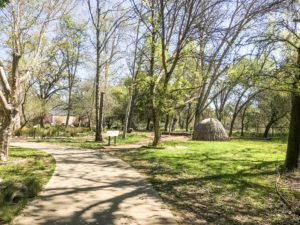 Guide to the Effie Yeaw Nature Center in Sacramento | Things to Do in Sacramento with Kids | Henry and Andrew’s Guide (www.henryandandrewsguide.com)