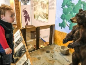 Guide to the Effie Yeaw Nature Center in Sacramento | Things to Do in Sacramento with Kids | Henry and Andrew’s Guide (www.henryandandrewsguide.com)